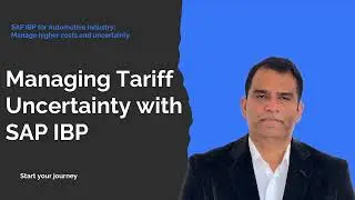 Automotive Industry: Managing Tariff Uncertainty with SAP IBP