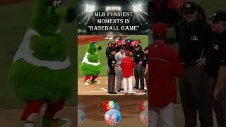 MLB Funniest Moments in Baseball Game