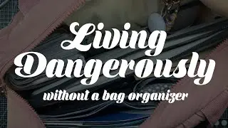 Bag switch drama, Part 13 - Removing my internal bag organizer