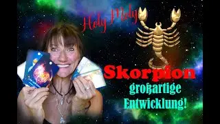 Mega Skorpion! Hand in Hand in den Frieden! Sternzeichen- Kartenlegung- 4. Quartal