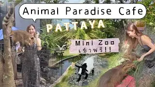 พาเที่ยว Animal Paradise Cafe พัทยา Mini Zoo เข้าฟรี พัทยา สัตว์เยอะ น้ำตก คาเฟ่ ร้านอาหาร PATTAYA