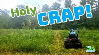 EXTRA work? SEVERELY OVERGROWN FIELD.