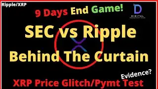Ripple/XRP-542M XRP, SECvsRipple-Behind The Curtain,XRP Price Glitch Or Evidence Of Payments TEST?