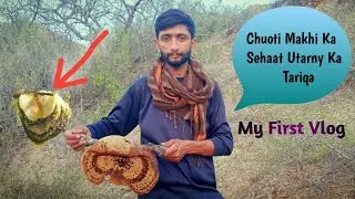 Wild Honey Harvesting | Jungali Chuoti Makhi Ka Sehat | Little Honey Harvesting @villagefoodtaste