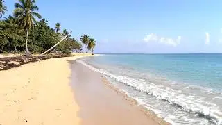 Playa Punta Popy Las Terrenas