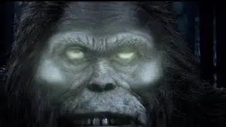 Quantum Ci&rsquo;tonga