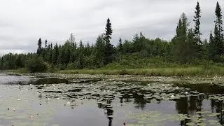 Paddling - Skidway Lake from Dugout Lake upstream to South Brule River portage in the BWCA