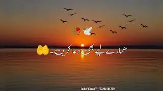 || Man Passand Shakhs || best poetry line's Whatsapp status video 