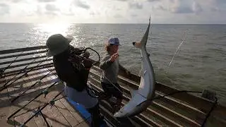 Texas Surf Fishing At Its Finest (HUGE FISH)