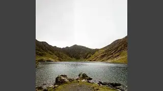 Zorny