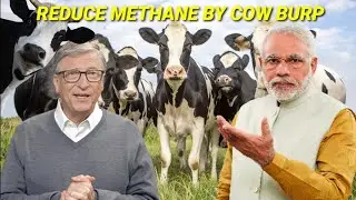 REDUCE METHANE | COW BURP AND FART | CLIMATE CHANGE | Be Alert | HINDI