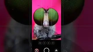 Adcom 15x macro from 5 in 1 mobile phone camera lens kit | #shorts #shotwithadcom