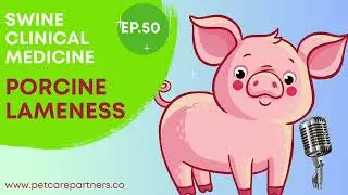 EP 50: Porcine Lameness Explained | Causes, Diagnosis & Prevention in Pigs | Pet Care Partners