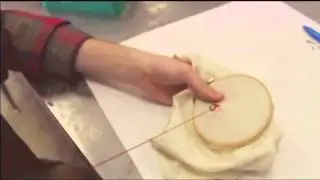 1 minute video, Etobicoke School of the Arts - Luke Mohan