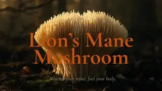 Lion's Mane:  This Mushroom Might Boost Your Brain !