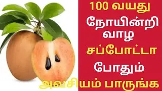 சப்போட்டா பழம் மருத்துவ அதிசயம்!/Sapota Fruit Health Benefits in Tamil/Sapota Benefits Tamil/Sapota