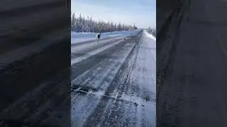 Погоня )))