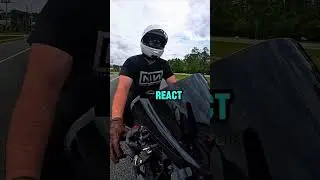 Traffic mayhem