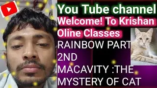 Rainbow part 2nd.  MACAVITY: THE MYSTERY CAT 