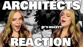 GIVE ME HEAVY!!! ARCHITECTS 