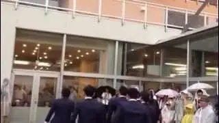 WORLD ORDER in 白神
