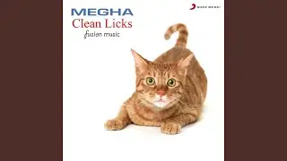 Clean Licks