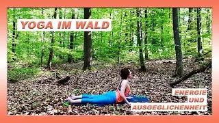 Yoga im Wald f&uuml;r mehr Energie und Ausgeglichenheit