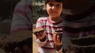 ഒരു മണ്ണപ്പം ചുട്ട കഥ ❤️📢📢#toddler playing with nature#