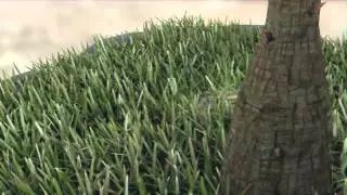 ayal Engine Grass Collision HD