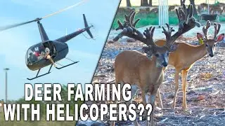 The Texas Deer Farm Summit at Lone Hollow Whitetails | Deer Farming Channel
