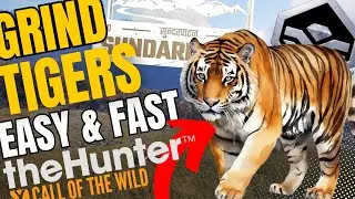 Как создать СУПЕР РЕДКОГО бенгальского тигра СУПЕР ЛЕГКО!! (ОБНОВЛЕНО!!) - Call of the Wild