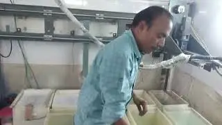 Real Silver Coating Auto Plant.