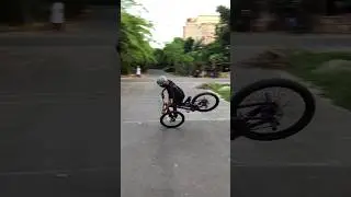 INSANE Mtb Stunt Freestyle Tricks