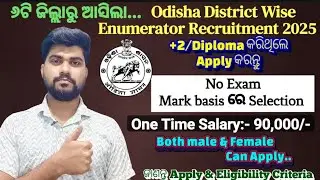 Odisha District Wise Enumerator Recruitment 2025,No Exam! Eligibility & Offline Apply Process👍