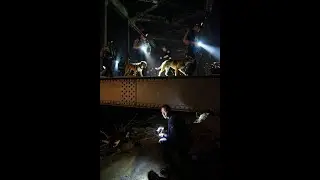 Don Lemon Evades Justice, Greenland Deal, Graphene News, Hancock and Carlson on Atlantis