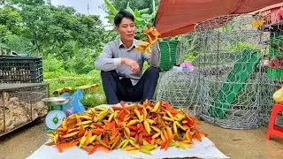 Harvest Forest Fruits Goes to the market sell - Solo Survival