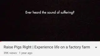 AD WARNING - Disturbing Animal Cruelty Ad &lsquo;Ever Heard The Sound Of Suffering?&rsquo;