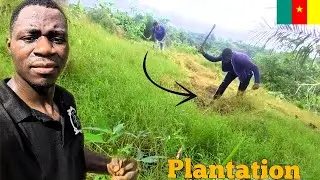 Drive through pk14 to pk 21 (inside douala Cameroon) farm day with me