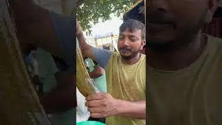 Live Singi Fish in India market #rrrm