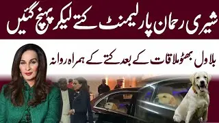 Sherry Rehman with his dog At Parliament House after meeting with Bilawal Bhutto | Wahjoc