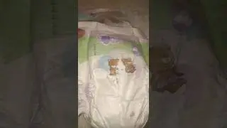 Тестирование подгузников Violetta double care