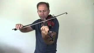 Barcus Berry Acoustic Electric Violin for Bethany