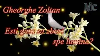 Gheorghe Zoltan - Esti gata sa zbori spre lumina?
