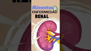 &iquest;QU&Eacute; ALIMENTOS SON RECOMENDABLES EN LA ENFERMEDAD RENAL? #shorts