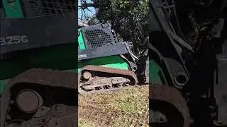 Little land clearing #tree #chainsaw #wood #hardwork #heavymachinery heavym