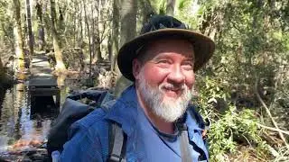 In the Florida Panhandle: Camping in Tates Hell State Forest and Hiking the Cathedral of Palms Trail