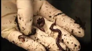 Bio-solids: to spread or not to spread