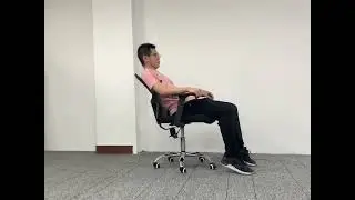 Mesh Office Chair in Classic Design 