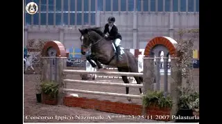 lutheur jumping competition zebrablond