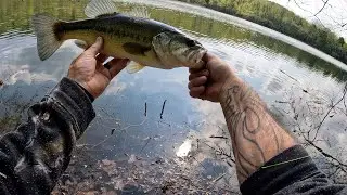 Baitcaster disaster. KARMA for not mowing the lawn!#fishing #bass #blessed